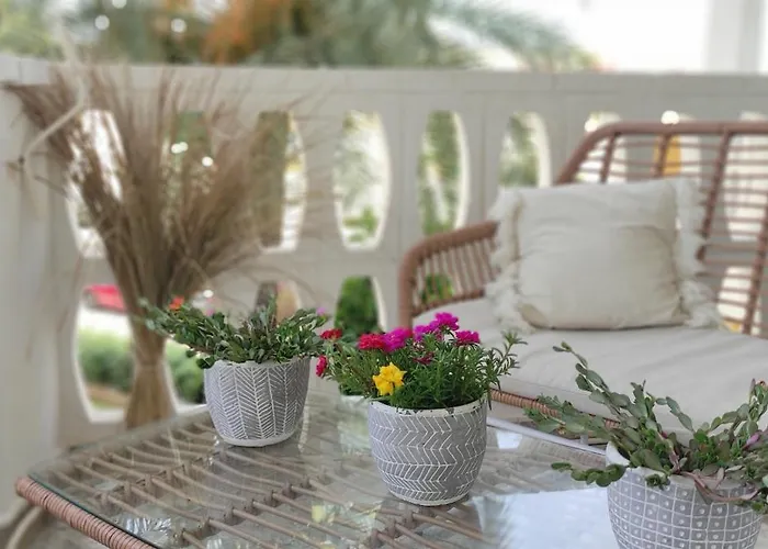 To The Apartment Denia